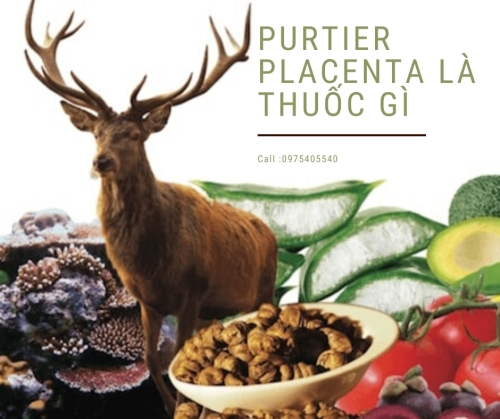Thuốc purtier placenta có chức năng gì