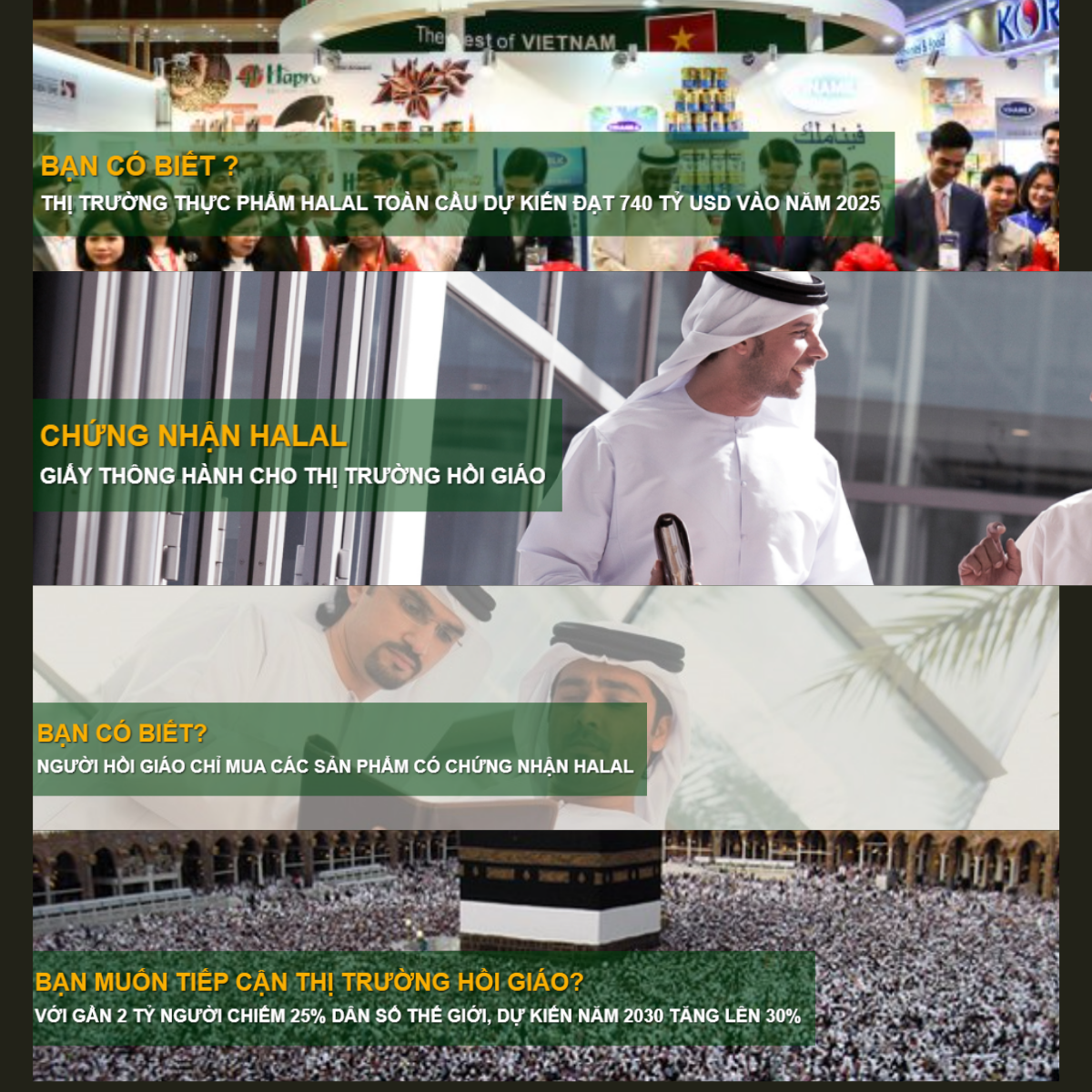 PURTIER-PLACENTA-HOI-GIAO-CHO-PHEP