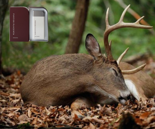 TE-BAO-GOC-PURTIER-NHAU-THAI-HUOU