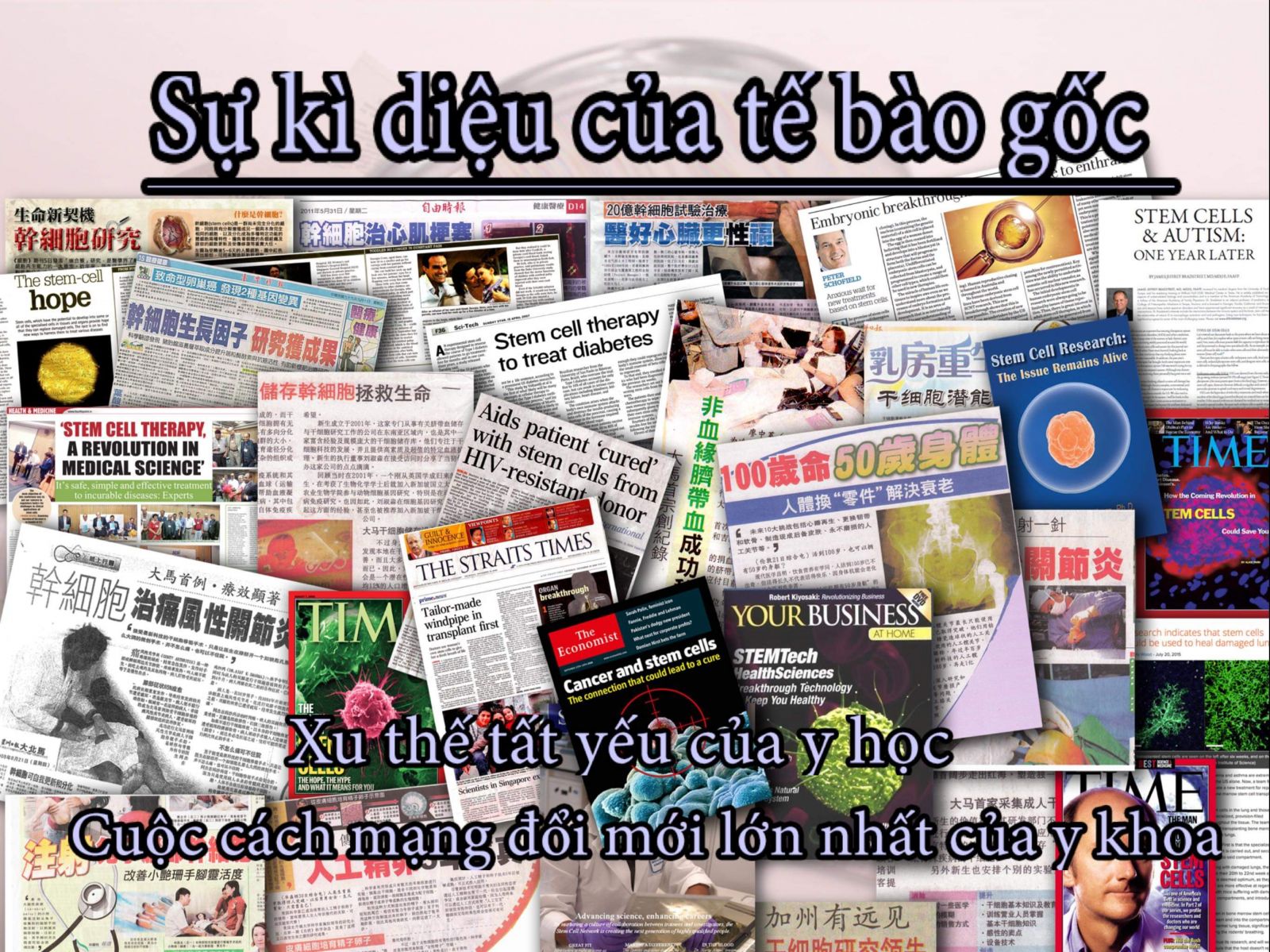 te-bao-goc-purtier-tri-benh-than-ky